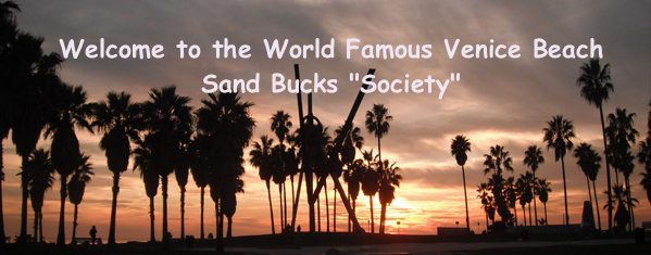 beautiful Venice Beach skyline